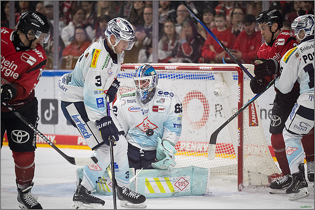 PENNY DEL 1; Kölner Haie - Dresdner Eislöwen; Köln, 25.02.2026