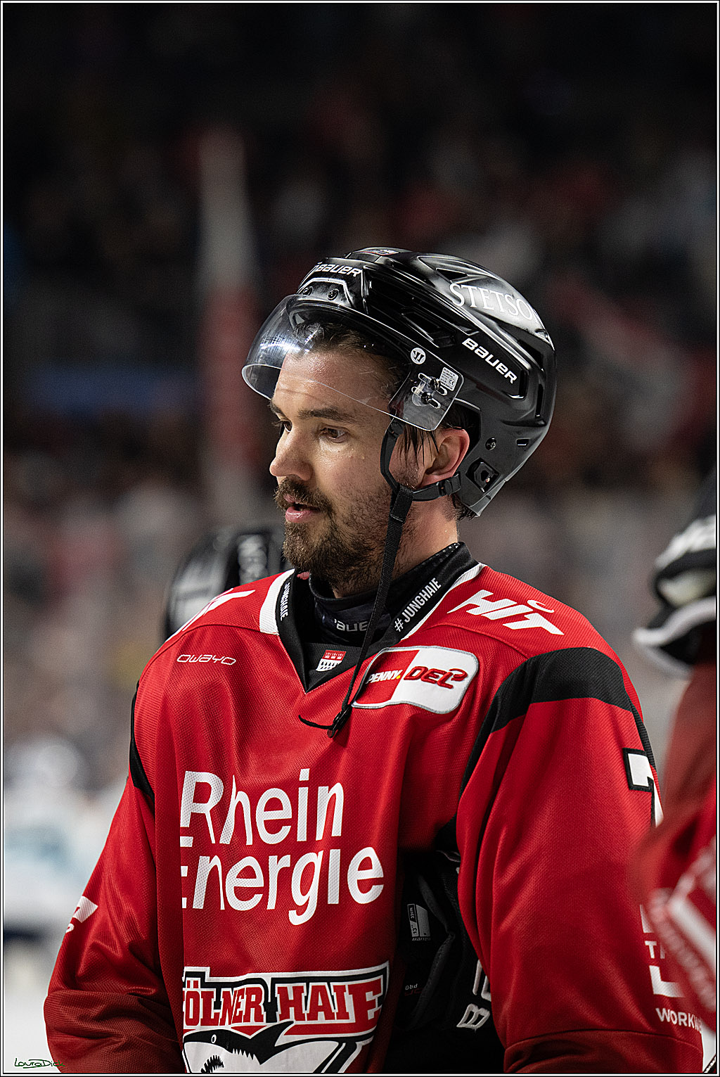PENNY DEL 1; Kölner Haie - Dresdner Eislöwen; Köln, 25.02.2026