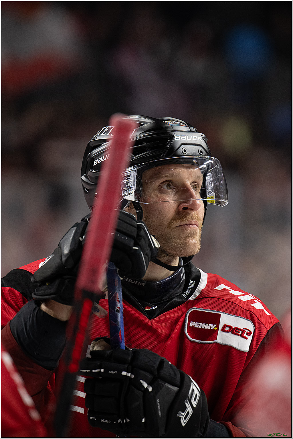 PENNY DEL 1; Kölner Haie - Dresdner Eislöwen; Köln, 25.02.2026