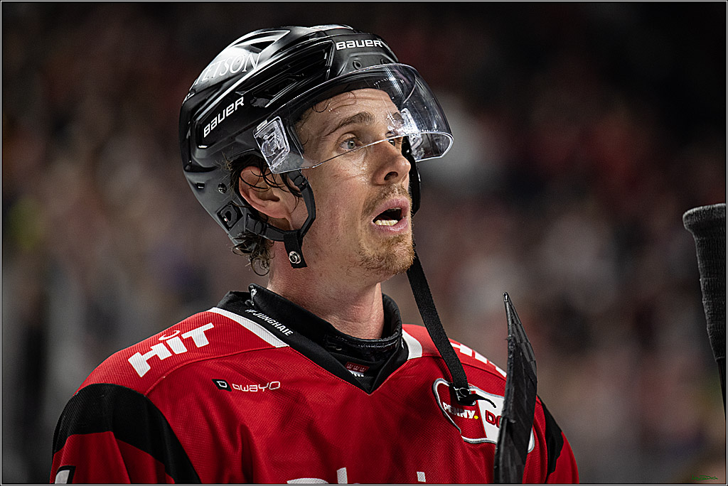 PENNY DEL 1; Kölner Haie - Dresdner Eislöwen; Köln, 25.02.2026