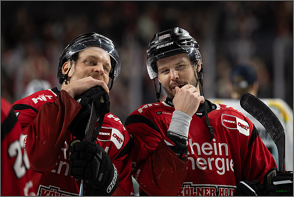 PENNY DEL 1; Kölner Haie - Dresdner Eislöwen; Köln, 25.02.2026