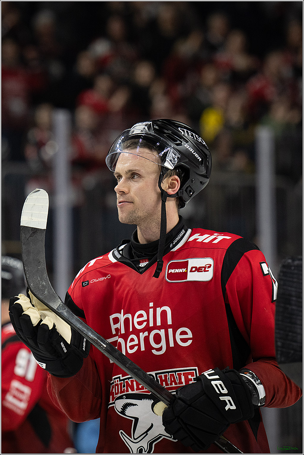 PENNY DEL 1; Kölner Haie - Dresdner Eislöwen; Köln, 25.02.2026
