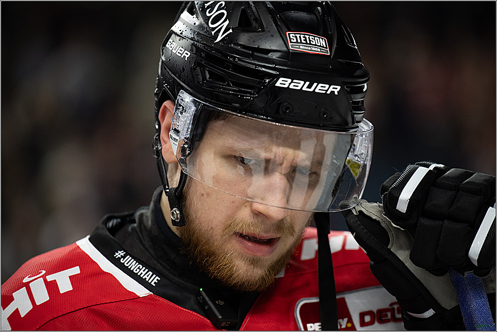 PENNY DEL 1; Kölner Haie - Dresdner Eislöwen; Köln, 25.02.2026