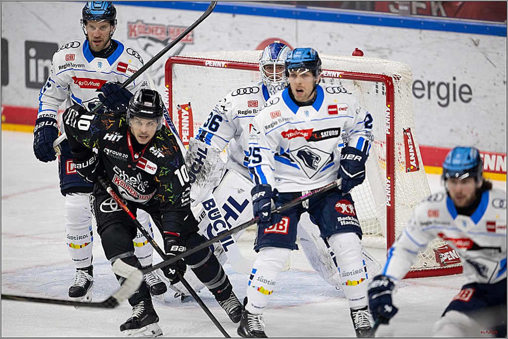 PENNY DEL 1; Kölner Haie - ERC Ingolstadt; Köln, 27.02.2026