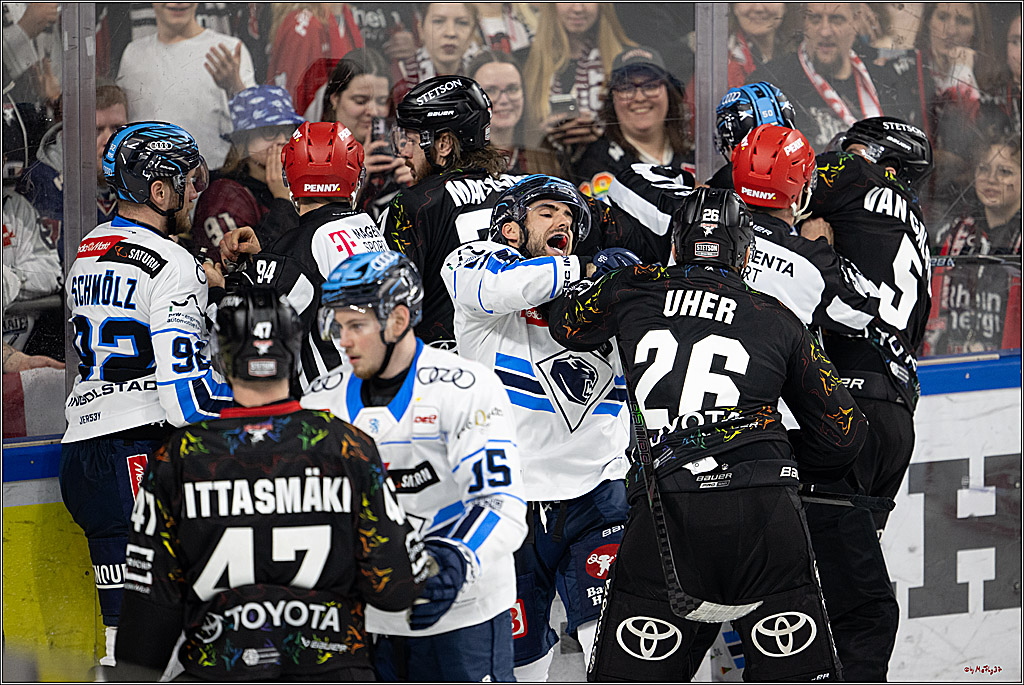 PENNY DEL 1; Kölner Haie - ERC Ingolstadt; Köln, 27.02.2026