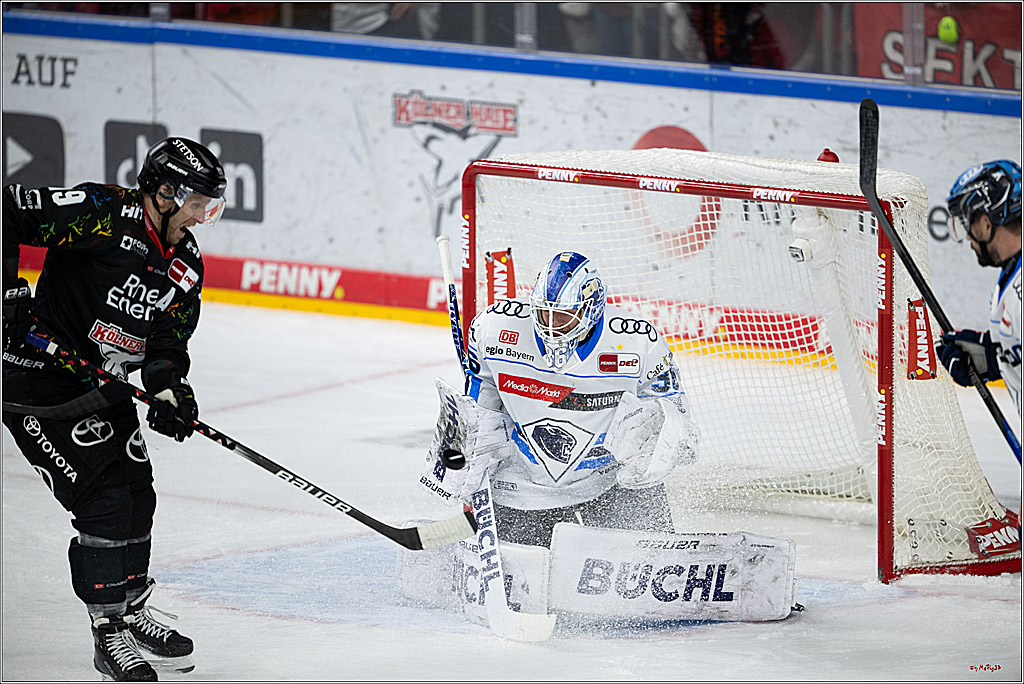 PENNY DEL 1; Kölner Haie - ERC Ingolstadt; Köln, 27.02.2026