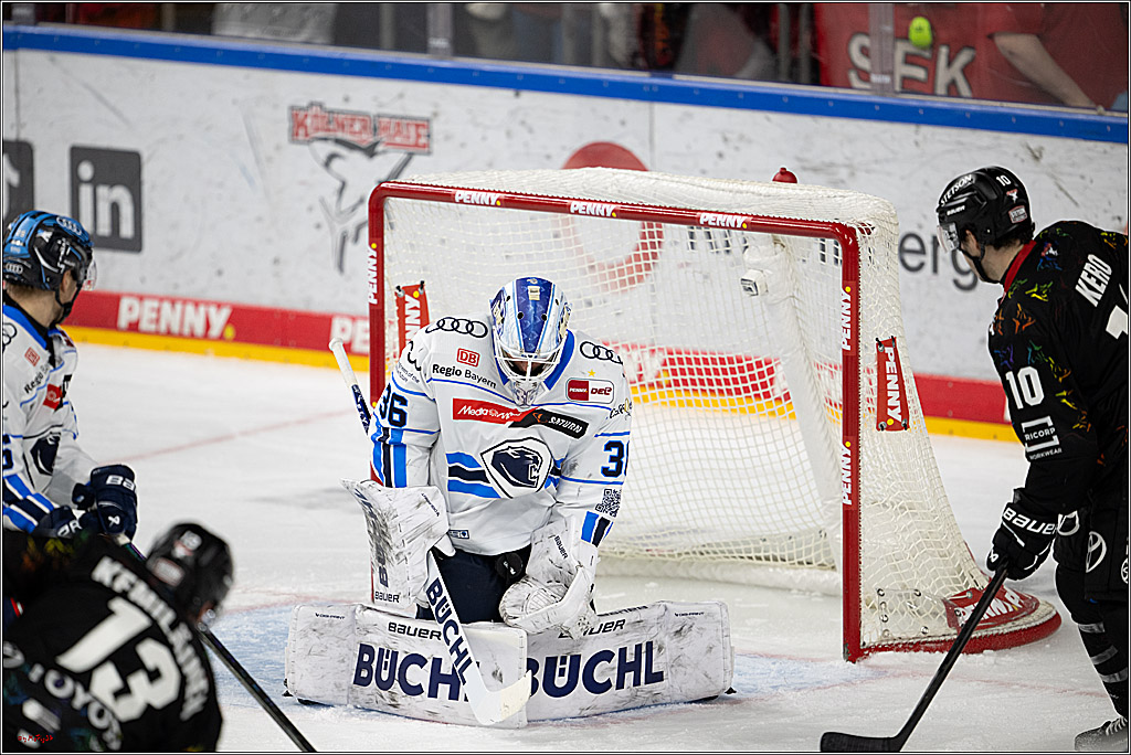 PENNY DEL 1; Kölner Haie - ERC Ingolstadt; Köln, 27.02.2026