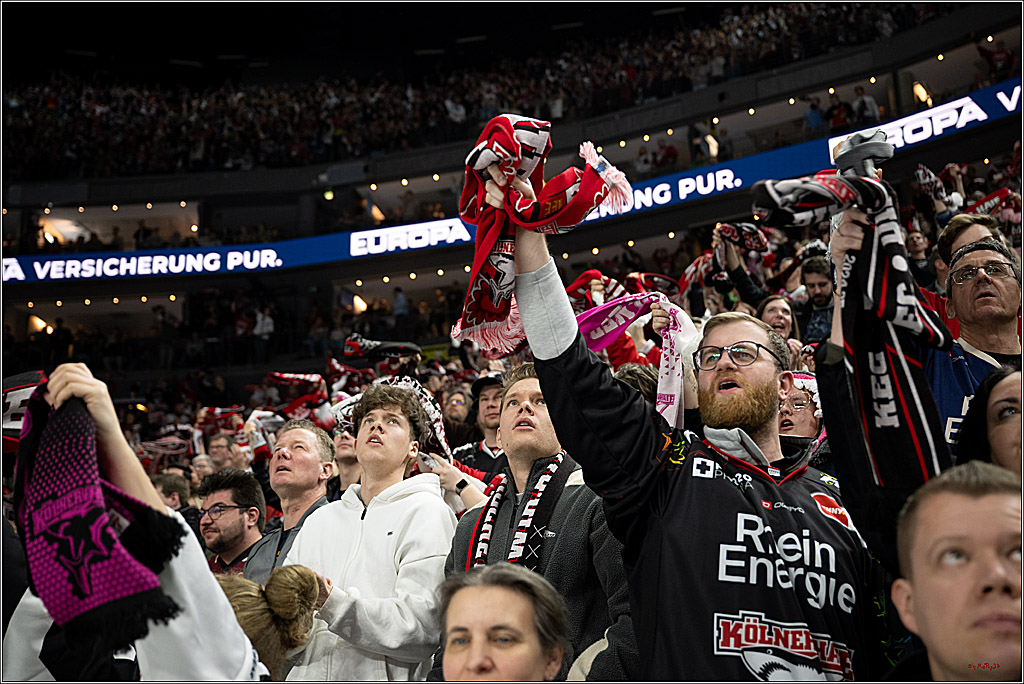 PENNY DEL 1; Kölner Haie - ERC Ingolstadt; Köln, 27.02.2026
