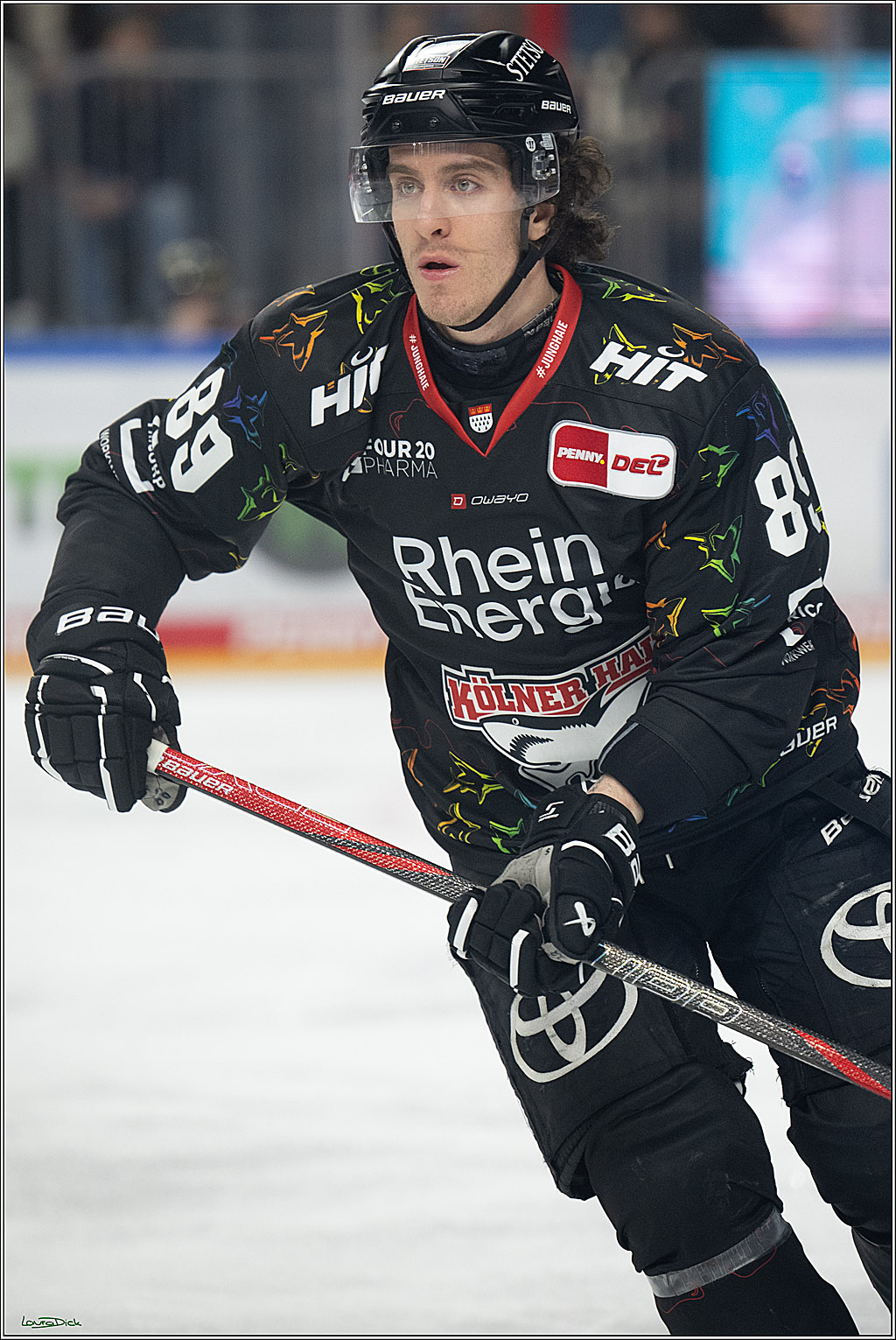 PENNY DEL 1; Kölner Haie - ERC Ingolstadt; Köln, 27.02.2026