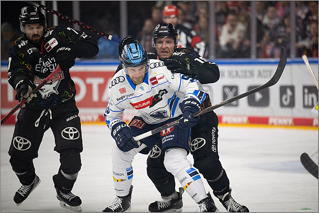 PENNY DEL 1; Kölner Haie - ERC Ingolstadt; Köln, 27.02.2026