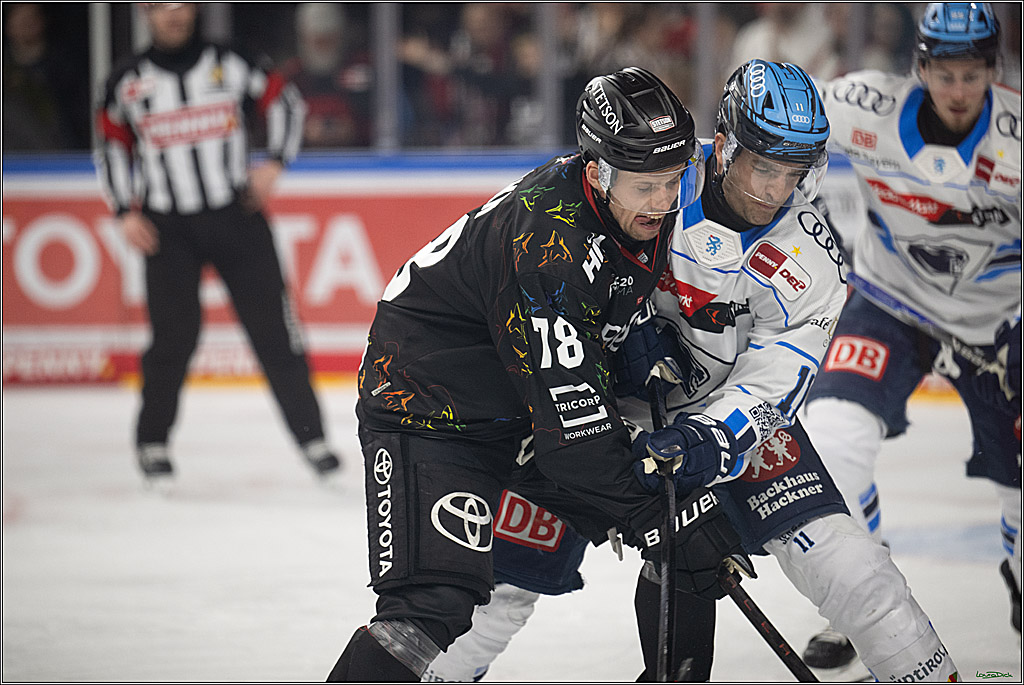 PENNY DEL 1; Kölner Haie - ERC Ingolstadt; Köln, 27.02.2026