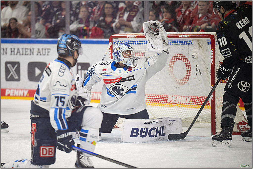 PENNY DEL 1; Kölner Haie - ERC Ingolstadt; Köln, 27.02.2026