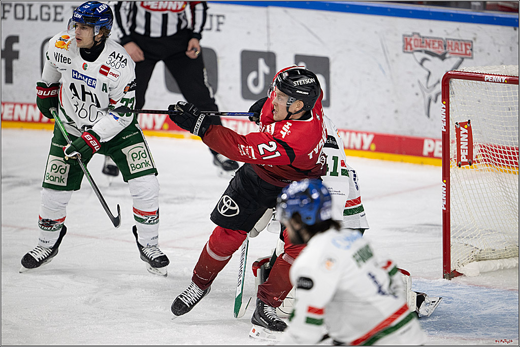 PENNY DEL 1; Kölner Haie - Augsburger Panther; Köln, 04.03.2026