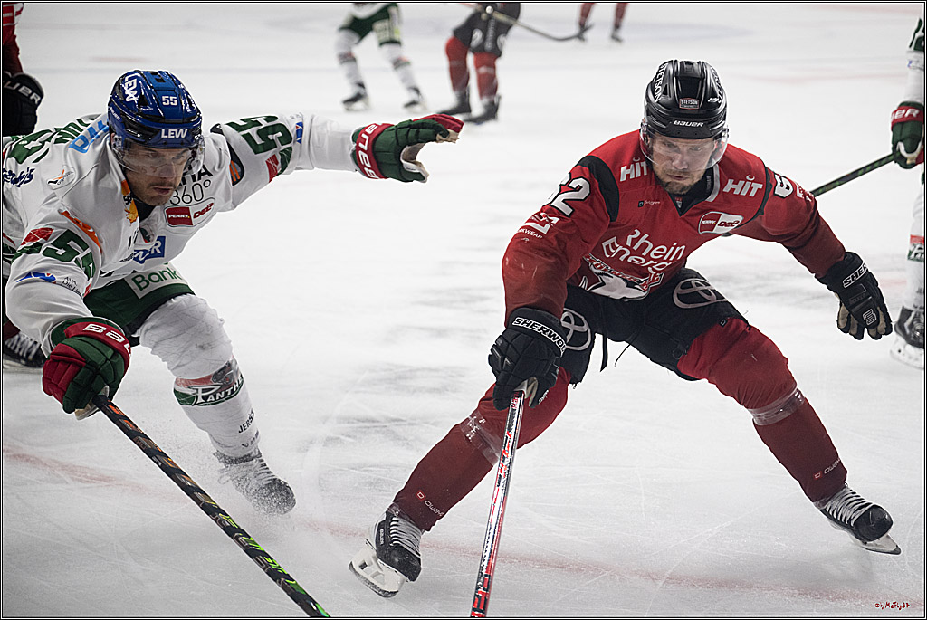 PENNY DEL 1; Kölner Haie - Augsburger Panther; Köln, 04.03.2026