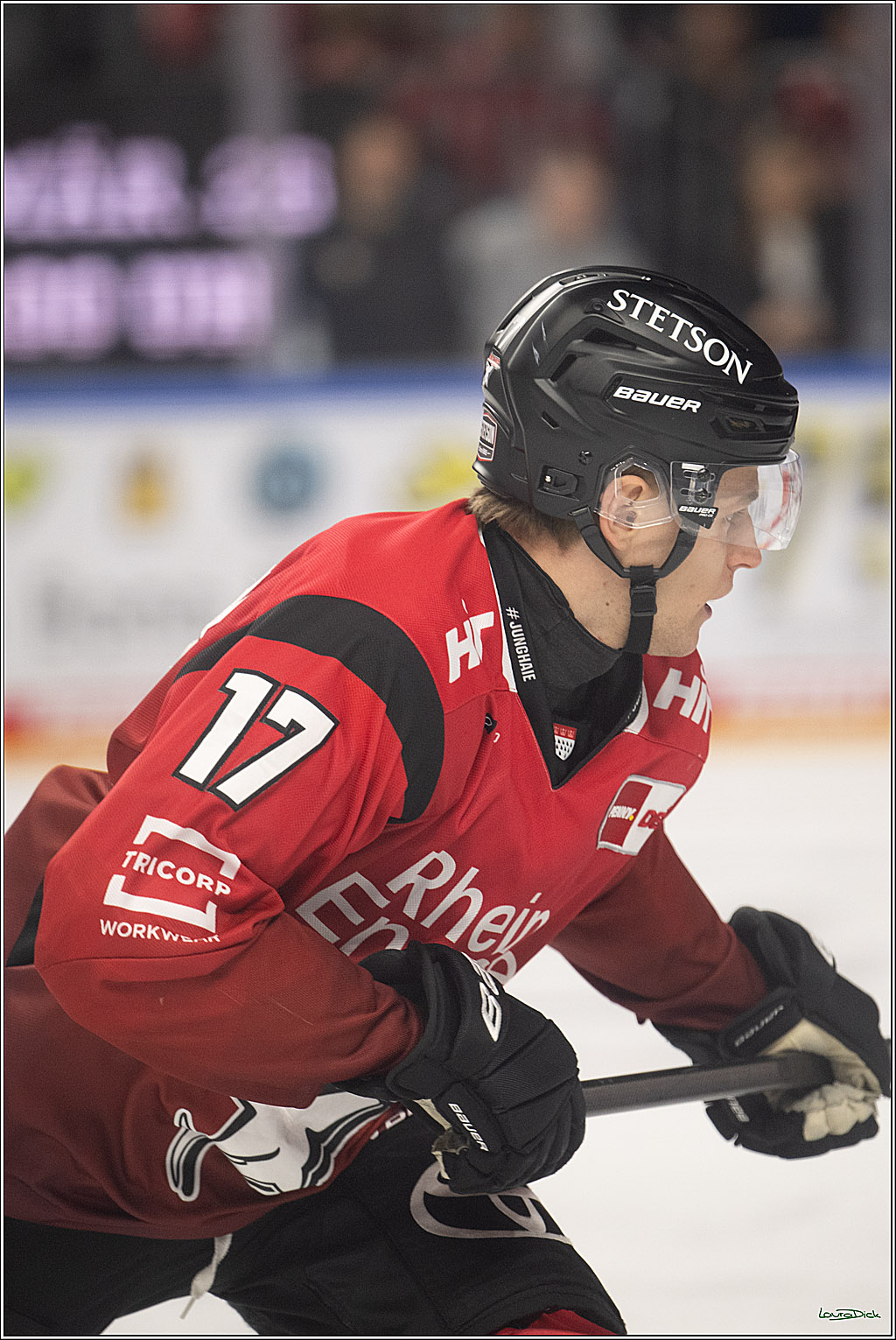 PENNY DEL 1; Kölner Haie - Augsburger Panther; Köln, 04.03.2026