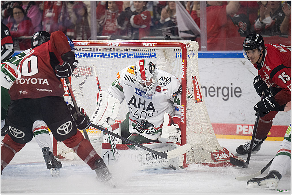PENNY DEL 1; Kölner Haie - Augsburger Panther; Köln, 04.03.2026