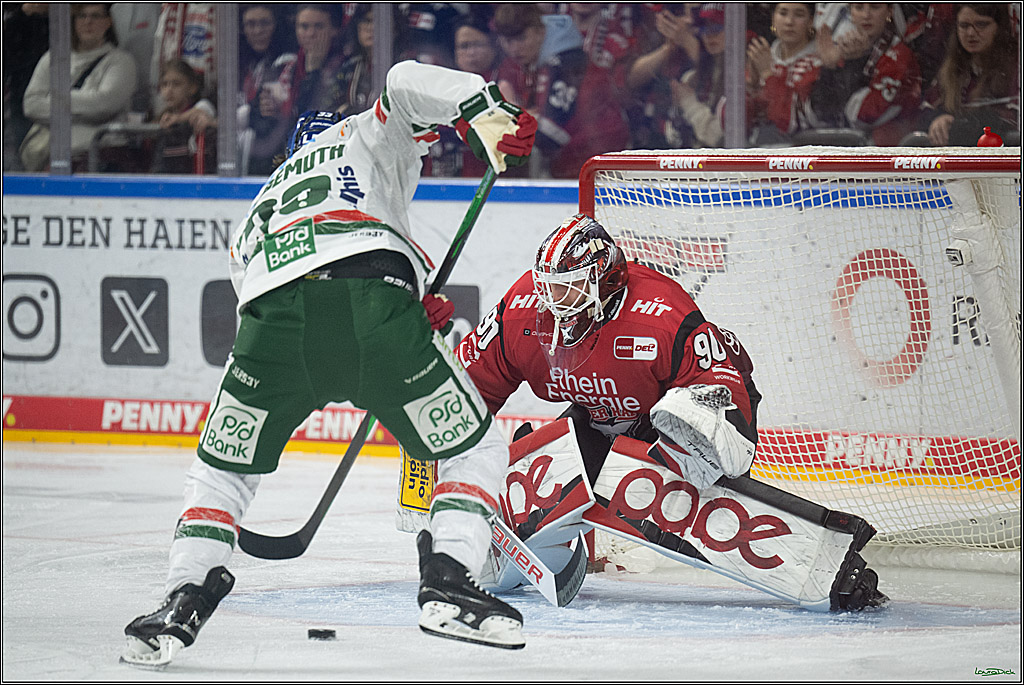 PENNY DEL 1; Kölner Haie - Augsburger Panther; Köln, 04.03.2026