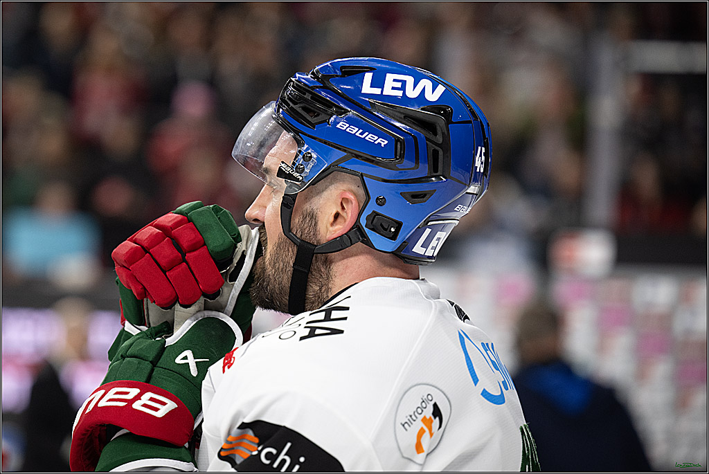 PENNY DEL 1; Kölner Haie - Augsburger Panther; Köln, 04.03.2026