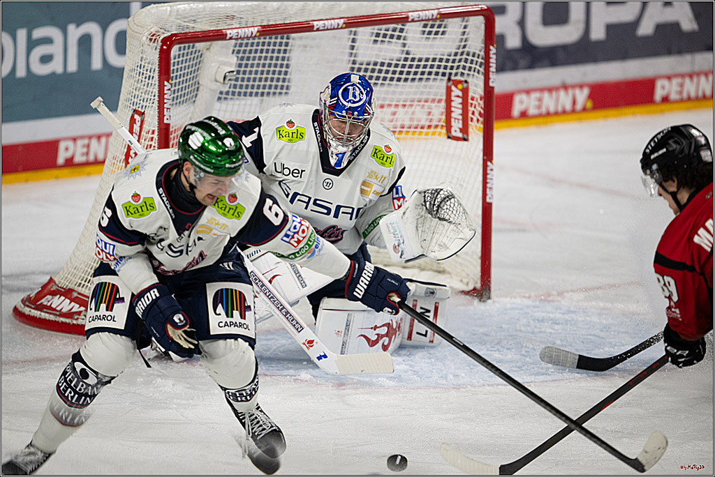 PENNY DEL 1; Kölner Haie - Eisbären Berlin; Köln, 08.03.2026