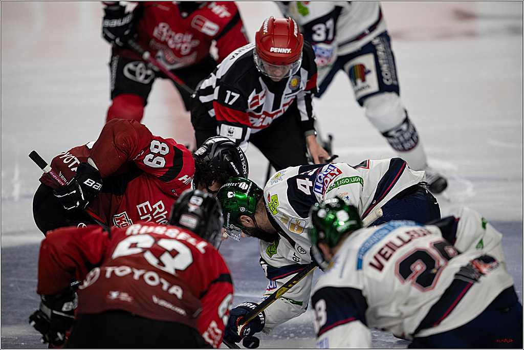 PENNY DEL 1; Kölner Haie - Eisbären Berlin; Köln, 08.03.2026