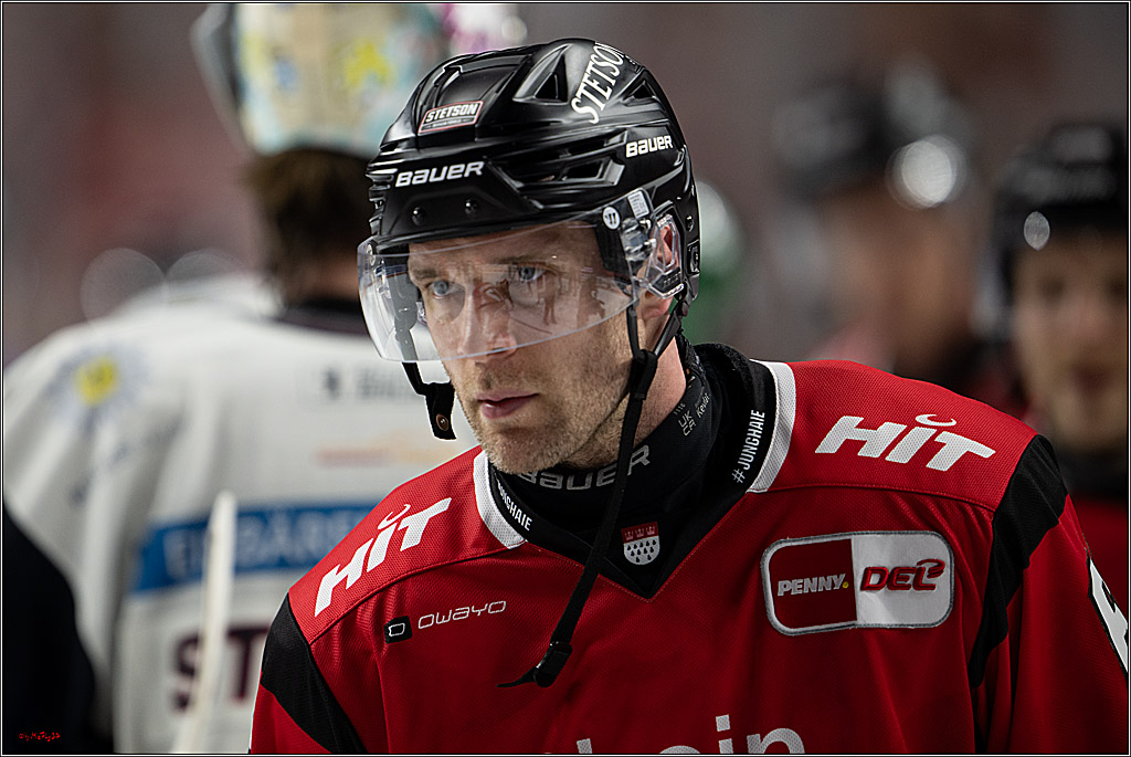 PENNY DEL 1; Kölner Haie - Eisbären Berlin; Köln, 08.03.2026