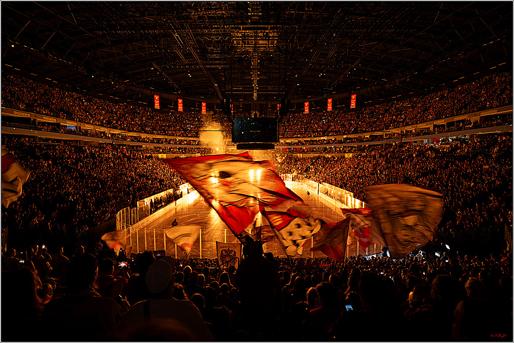 PENNY DEL 1; Kölner Haie - Eisbären Berlin; Köln, 08.03.2026