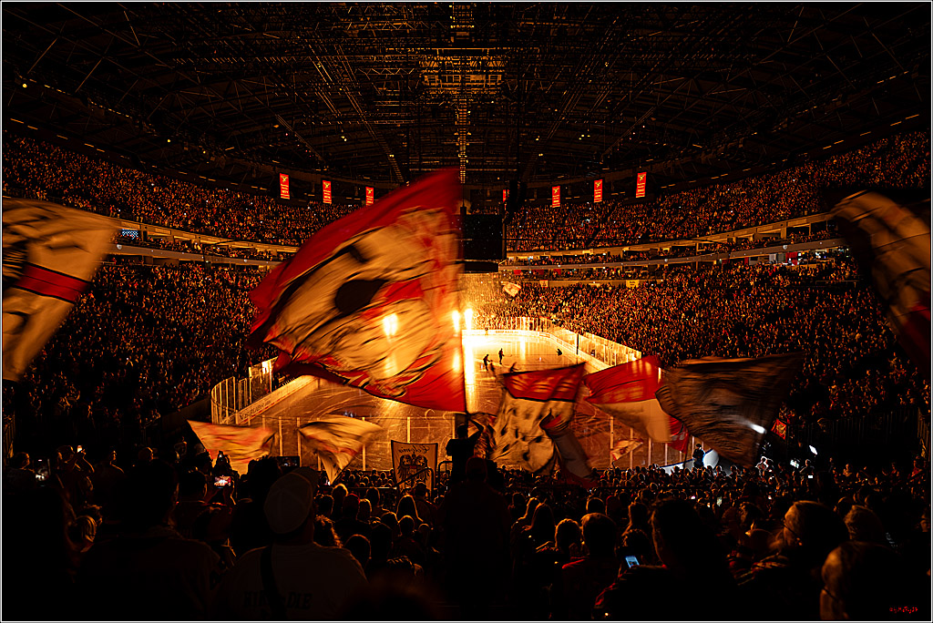 PENNY DEL 1; Kölner Haie - Eisbären Berlin; Köln, 08.03.2026