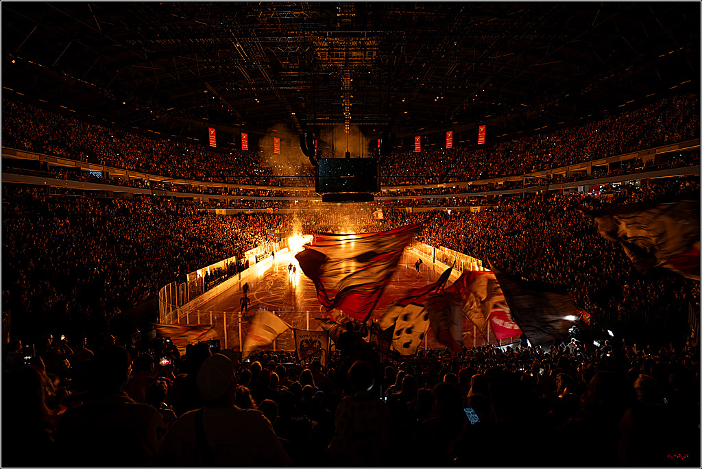 PENNY DEL 1; Kölner Haie - Eisbären Berlin; Köln, 08.03.2026