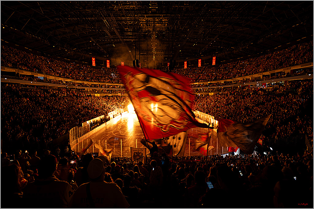 PENNY DEL 1; Kölner Haie - Eisbären Berlin; Köln, 08.03.2026