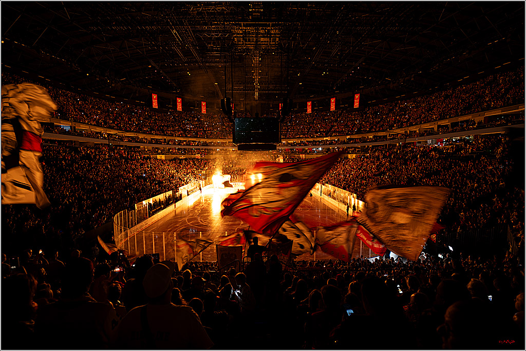 PENNY DEL 1; Kölner Haie - Eisbären Berlin; Köln, 08.03.2026