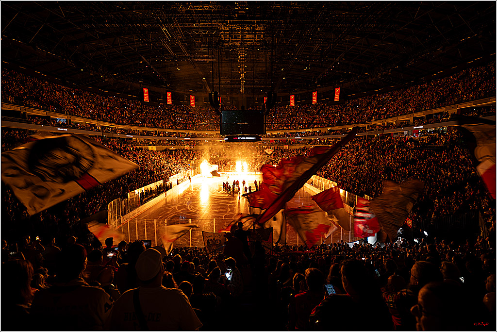 PENNY DEL 1; Kölner Haie - Eisbären Berlin; Köln, 08.03.2026