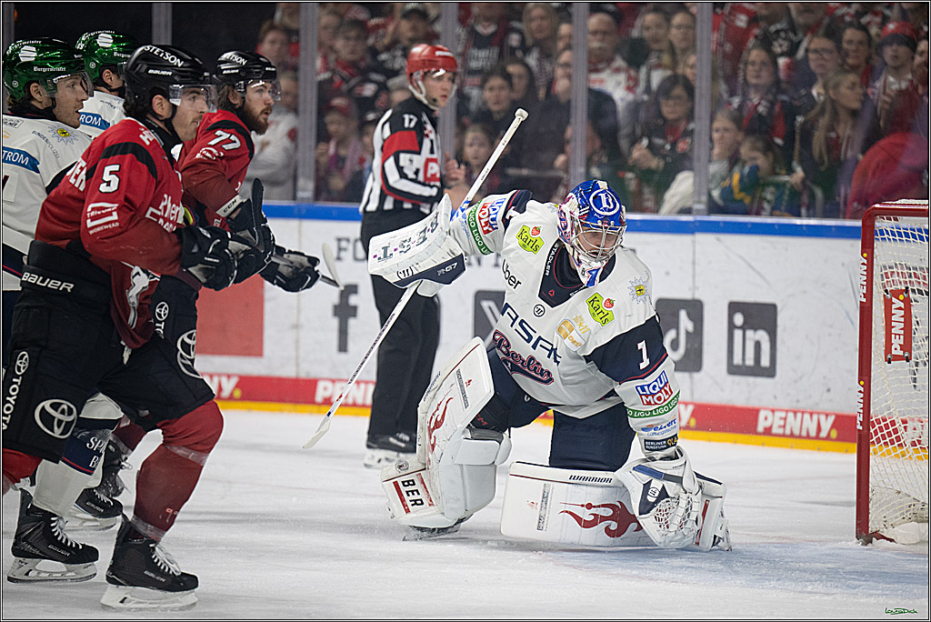 PENNY DEL 1; Kölner Haie - Eisbären Berlin; Köln, 08.03.2026