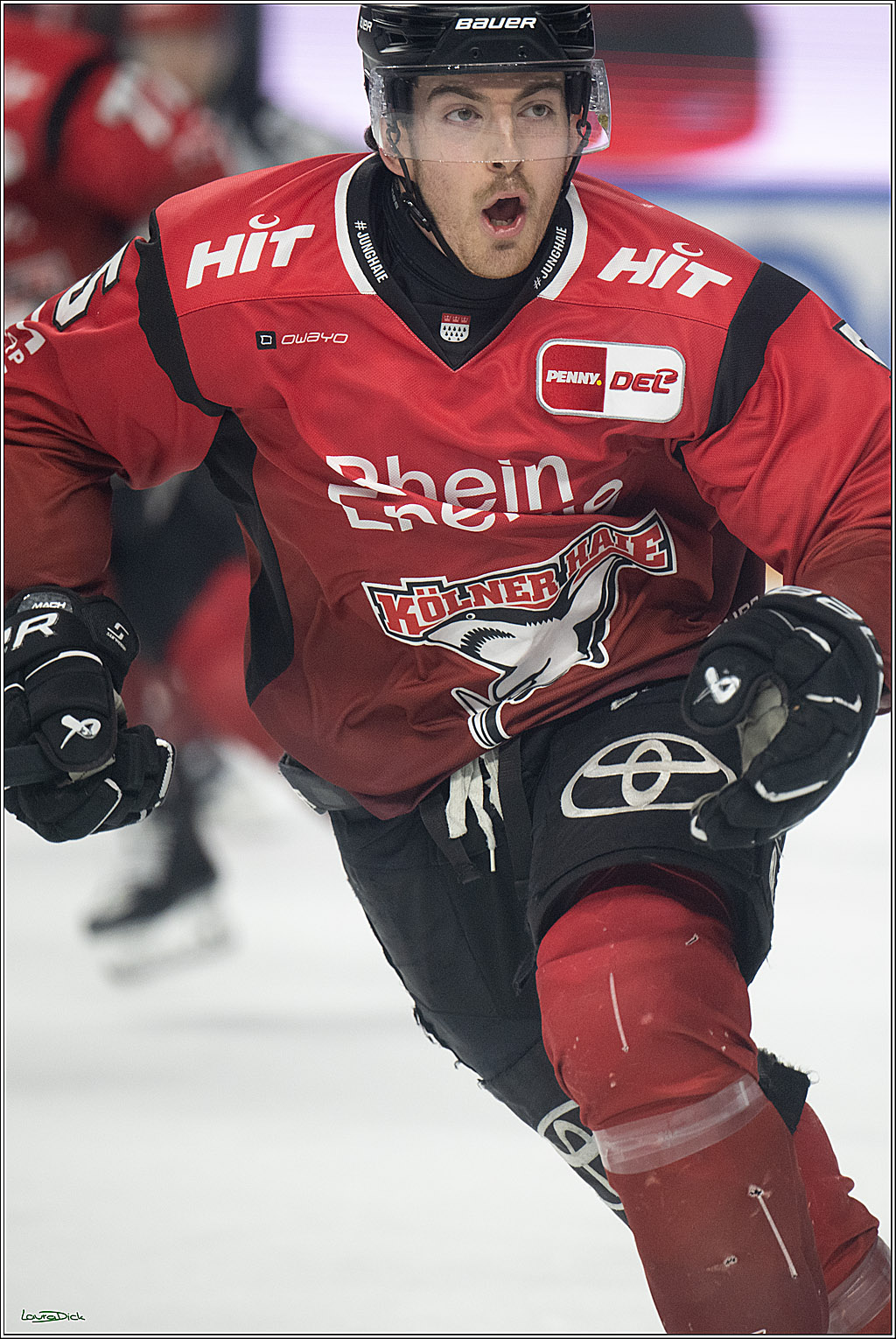 PENNY DEL 1; Kölner Haie - Eisbären Berlin; Köln, 08.03.2026