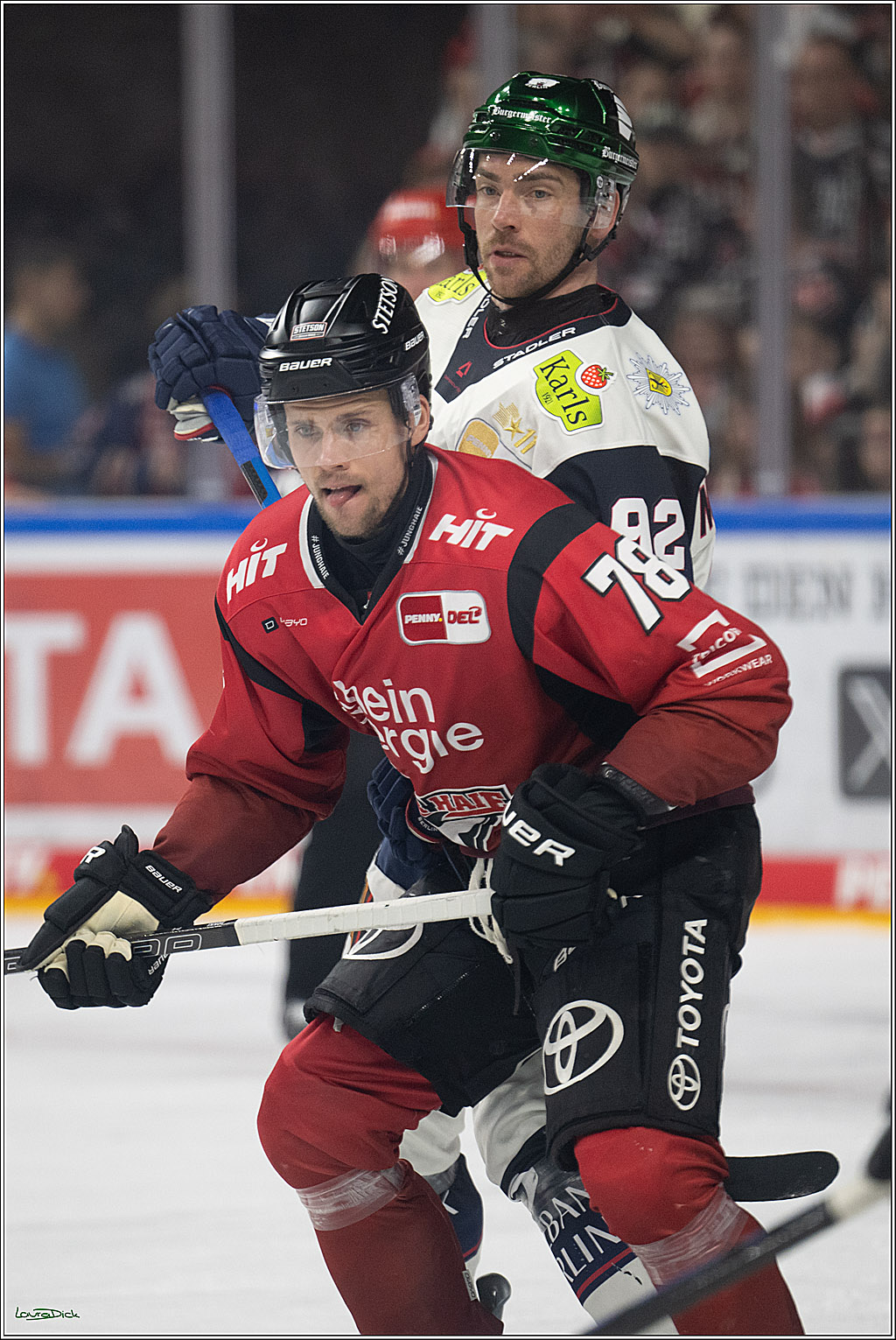 PENNY DEL 1; Kölner Haie - Eisbären Berlin; Köln, 08.03.2026