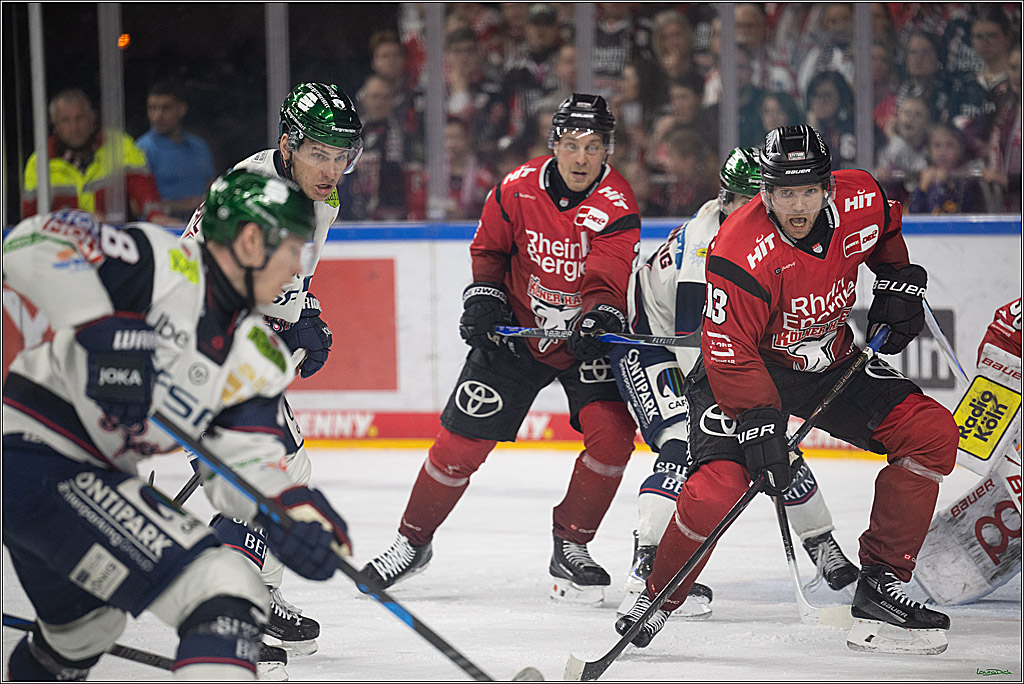 PENNY DEL 1; Kölner Haie - Eisbären Berlin; Köln, 08.03.2026
