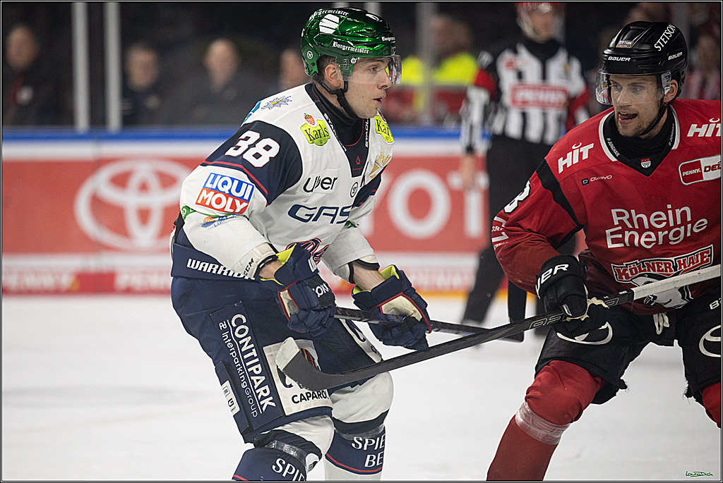 PENNY DEL 1; Kölner Haie - Eisbären Berlin; Köln, 08.03.2026