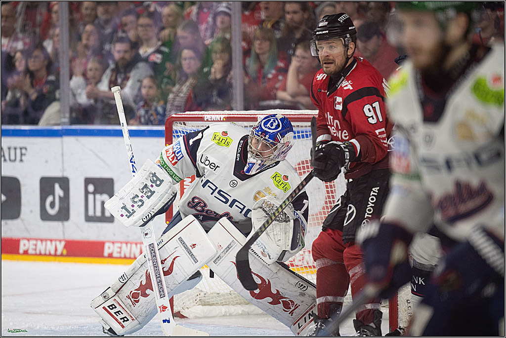 PENNY DEL 1; Kölner Haie - Eisbären Berlin; Köln, 08.03.2026