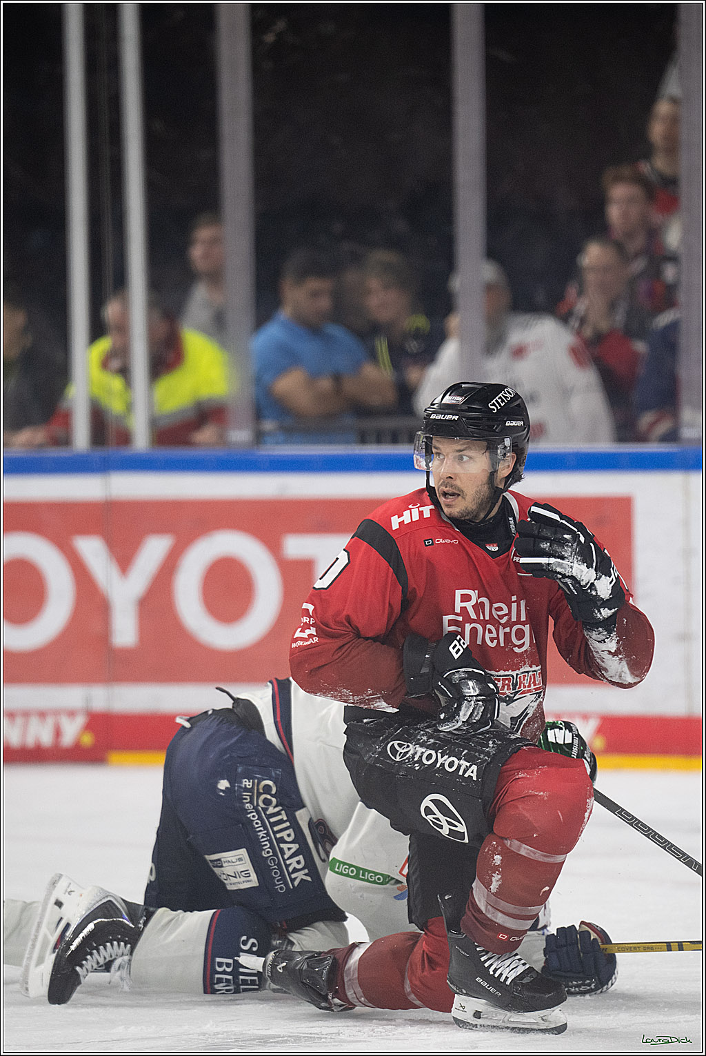 PENNY DEL 1; Kölner Haie - Eisbären Berlin; Köln, 08.03.2026