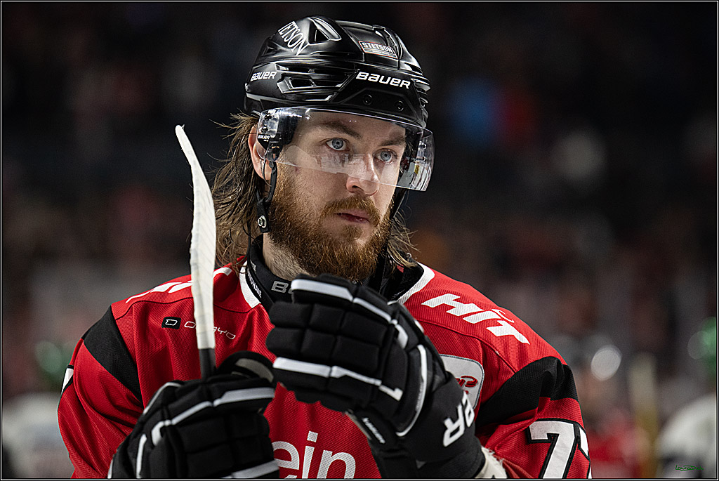 PENNY DEL 1; Kölner Haie - Eisbären Berlin; Köln, 08.03.2026