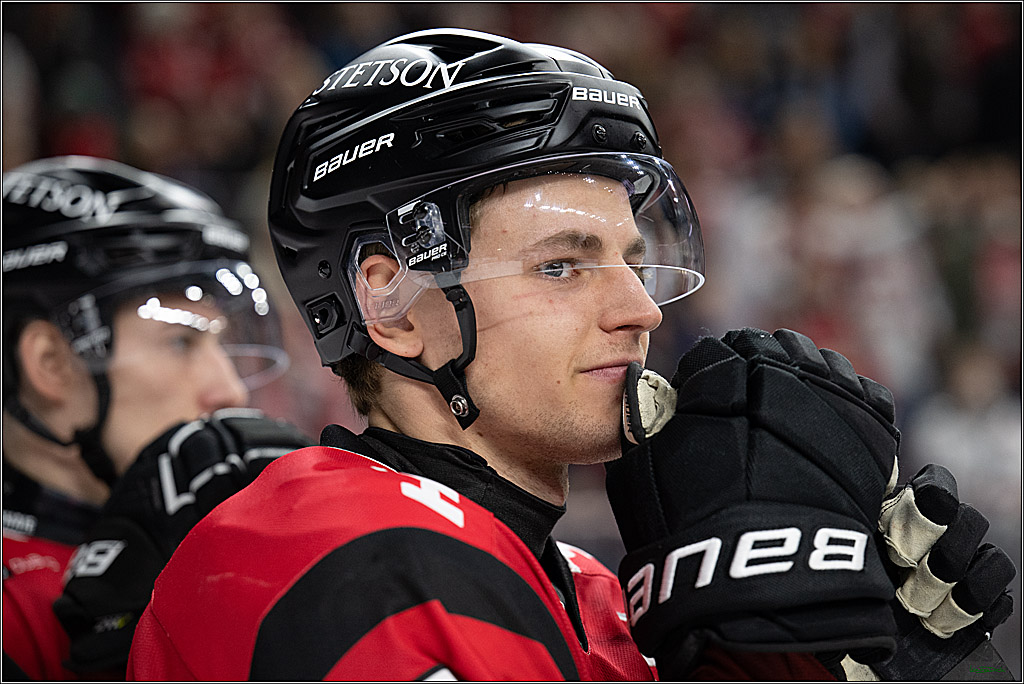 PENNY DEL 1; Kölner Haie - Eisbären Berlin; Köln, 08.03.2026