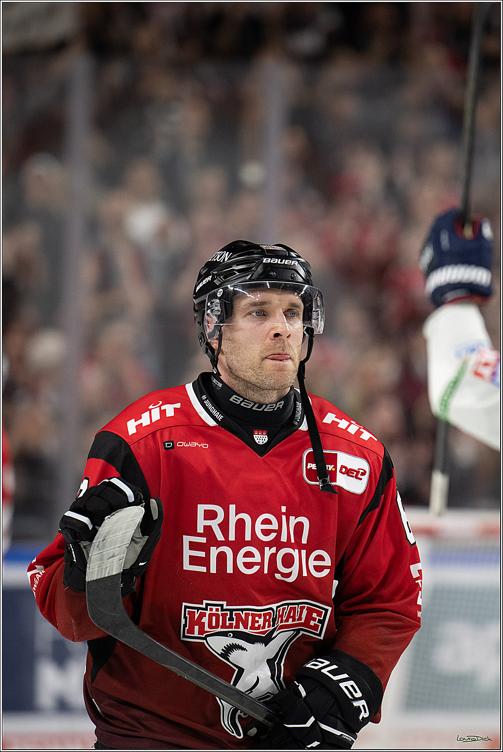 PENNY DEL 1; Kölner Haie - Eisbären Berlin; Köln, 08.03.2026