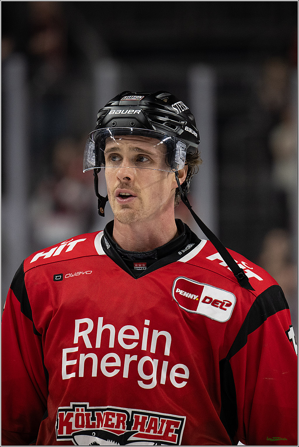 PENNY DEL 1; Kölner Haie - Eisbären Berlin; Köln, 08.03.2026