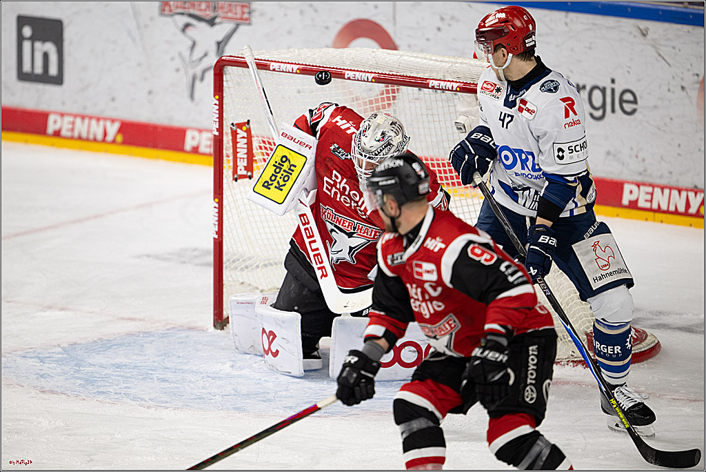 PENNY DEL 1 - Playoff Viertelfinale - Kölner Haie - Schwenninger Wild Wings; Köln, 27.03.2026