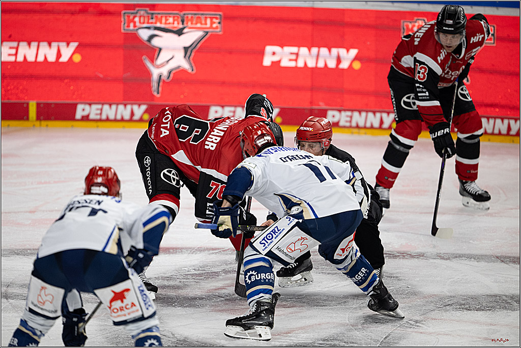 PENNY DEL 1 - Playoff Viertelfinale - Kölner Haie - Schwenninger Wild Wings; Köln, 27.03.2026