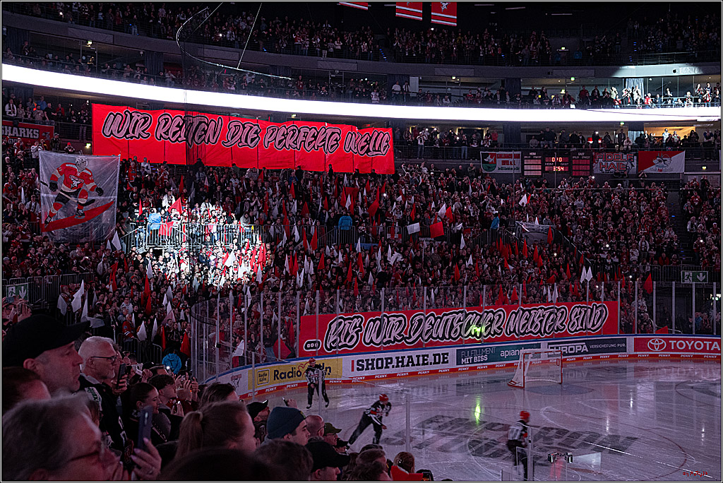 PENNY DEL 1 - Playoff Viertelfinale - Kölner Haie - Schwenninger Wild Wings; Köln, 27.03.2026