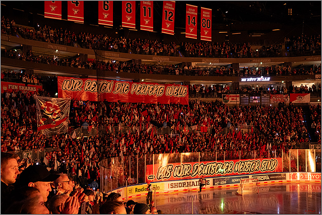 PENNY DEL 1 - Playoff Viertelfinale - Kölner Haie - Schwenninger Wild Wings; Köln, 27.03.2026