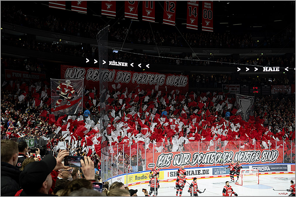 PENNY DEL 1 - Playoff Viertelfinale - Kölner Haie - Schwenninger Wild Wings; Köln, 27.03.2026