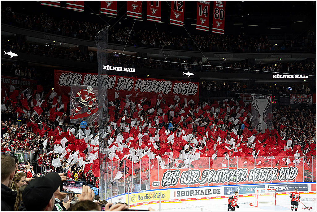 PENNY DEL 1 - Playoff Viertelfinale - Kölner Haie - Schwenninger Wild Wings; Köln, 27.03.2026