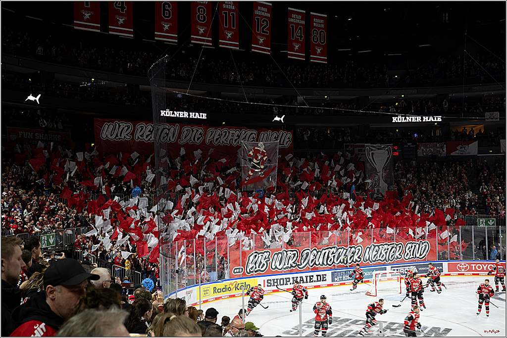 PENNY DEL 1 - Playoff Viertelfinale - Kölner Haie - Schwenninger Wild Wings; Köln, 27.03.2026