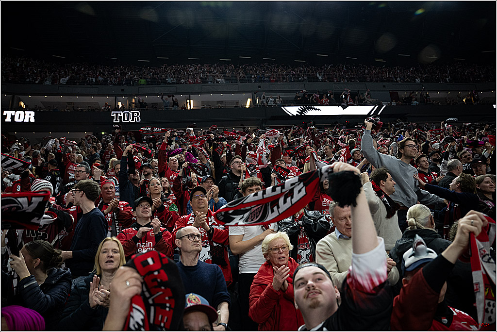 PENNY DEL 1 - Playoff Viertelfinale - Kölner Haie - Schwenninger Wild Wings; Köln, 27.03.2026